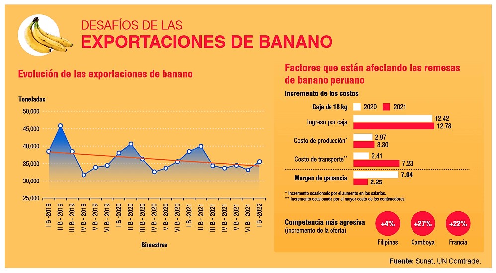 Un Año Ambicioso Para Los Exportadores De Banano – Bananotecnia