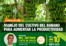 Curso online: Manejo del cultivo del banano para aumentar la productividad