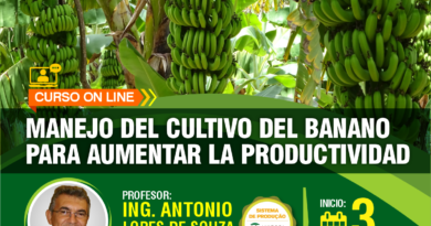 Curso online: Manejo del cultivo del banano para aumentar la productividad