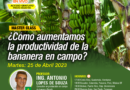 Webinar en vivo: Secretos para la productividad y longevidad de la bananera – Caso Brasil