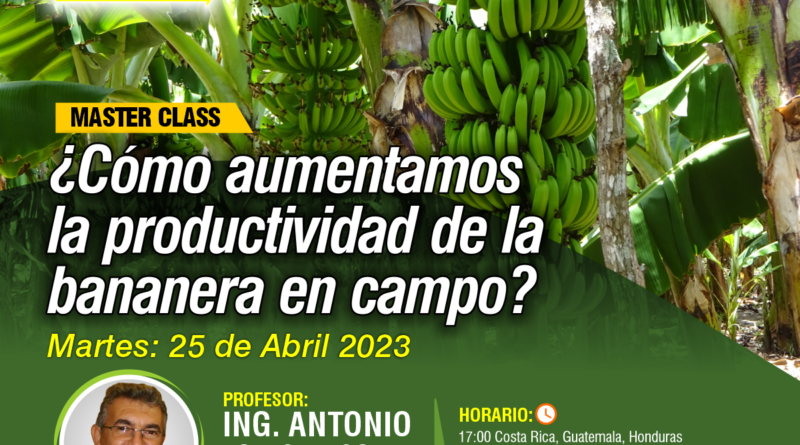 Webinar en vivo: Secretos para la productividad y longevidad de la bananera – Caso Brasil