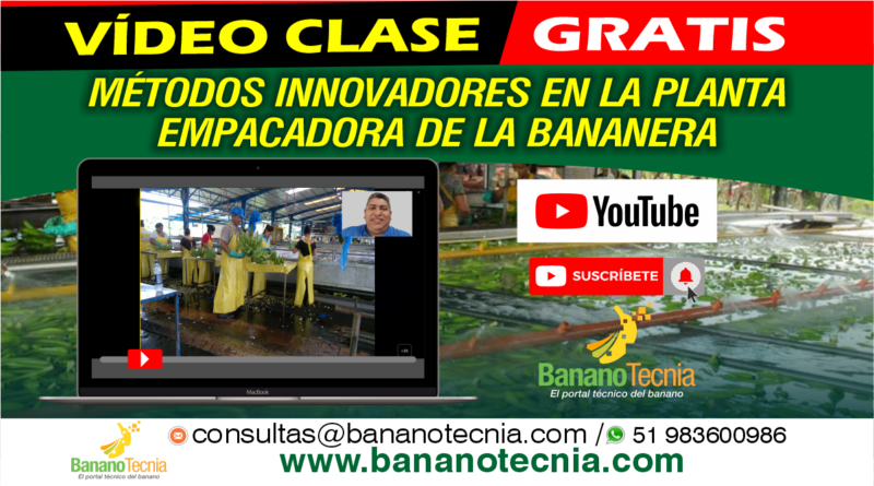 Videoconferencia en vivo: Métodos innovadores en plantas de proceso de la bananera