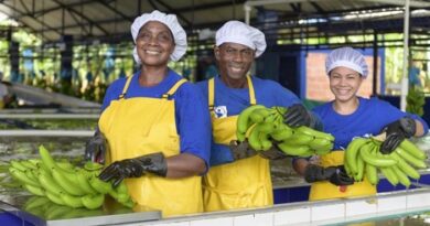 Unibán: Mercado de plátanos y snacks en Europa