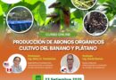 Curso Online: Abonos orgánicos para el cultivo del banano y plátano