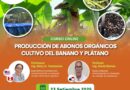 Curso Online: Abonos orgánicos para el cultivo del banano y plátano