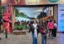 Yo Tomo Café Peruano 2025: un encuentro que celebra el grano nacional