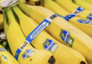 Chiquita retoma operaciones en Panamá con una inversión de 30 millones de USD