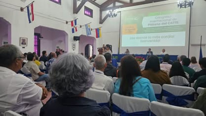 Congreso plátano Costa Rica 2025: Catie conecta ciencia y campo en el cultivo del plátano