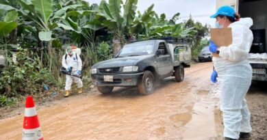 El MAG confirma el primer foco de Fusarium en El Oro