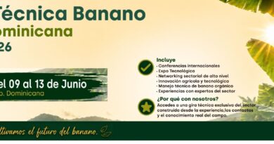 Gira técnica banano orgánico Dominicana 2026