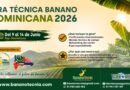 Gira técnica banano orgánico Dominicana 2026