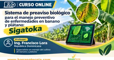 Curso online: Sistema de preaviso biológico para el manejo preventivo de enfermedades en banano y plátano: Sigatoka