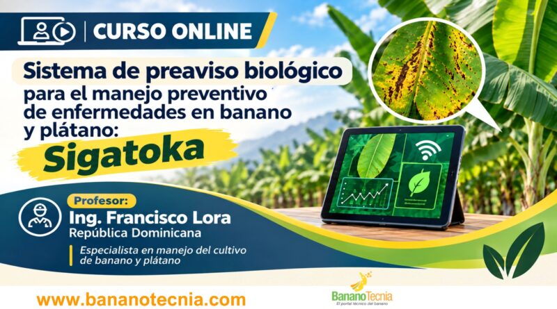 Curso online: Sistema de preaviso biológico para el manejo preventivo de enfermedades en banano y plátano: Sigatoka